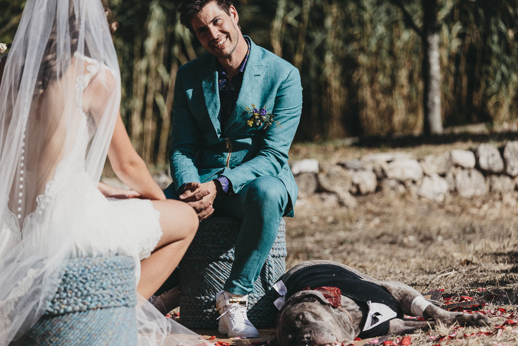 Wedding couple and a dog